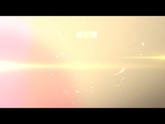 Système d'inspection latéral d'ideo de branche d'inspection de lancement